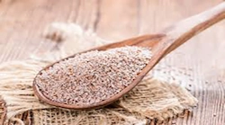 Psyllium Husk